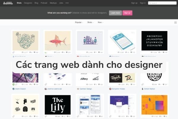 26 các trang web dành cho designer mới bắt đầu học thiết kế đồ họa